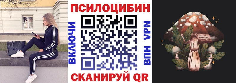 наркошоп  Красновишерск  Галлюциногенные грибы Psilocybine cubensis 